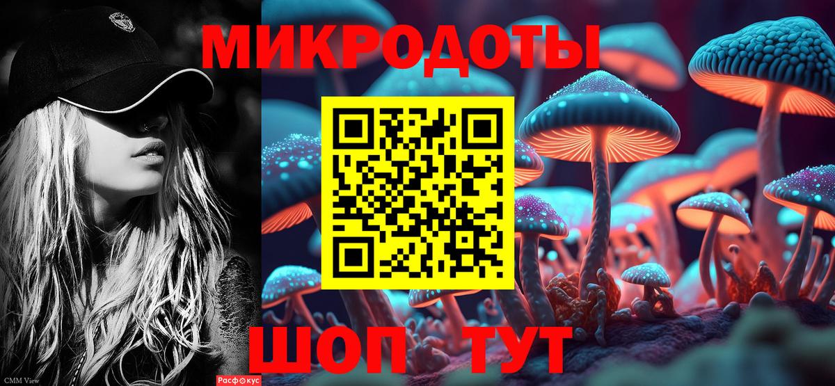Псилоцибиновые грибы Cubensis Вязьма